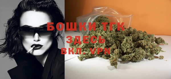 ГАЛЛЮЦИНОГЕННЫЕ ГРИБЫ Иннополис