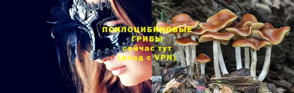 МДПВ Инсар