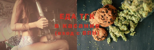 МДПВ Инсар