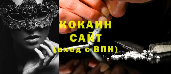 МДПВ Инсар
