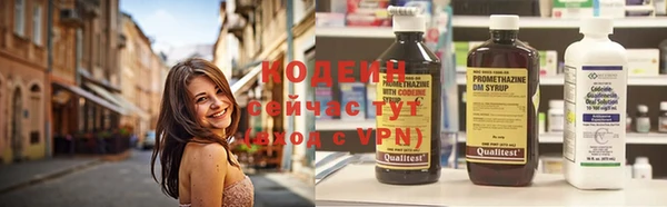 мяу мяу мука Инта