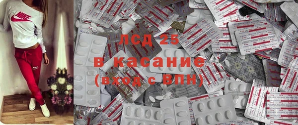 ГАЛЛЮЦИНОГЕННЫЕ ГРИБЫ Иннополис