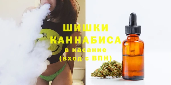 ГАЛЛЮЦИНОГЕННЫЕ ГРИБЫ Иннополис
