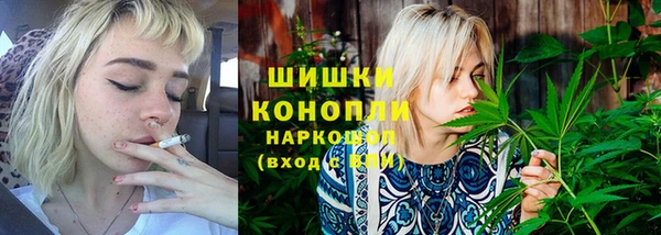 ГАЛЛЮЦИНОГЕННЫЕ ГРИБЫ Иннополис