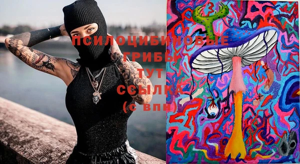 мяу мяу мука Инта