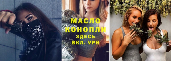 МДПВ Инсар