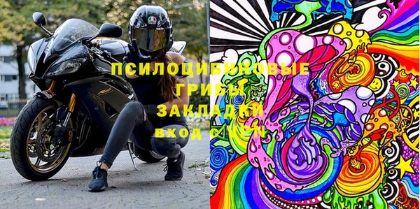 мяу мяу мука Инта