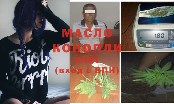 МДПВ Инсар